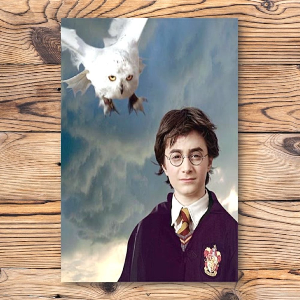 Harry Potter Owl‎ Hedwig Refrigerator Locker Fridge Magnet